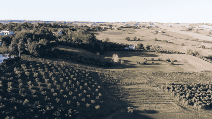Progetto senza titolo 77