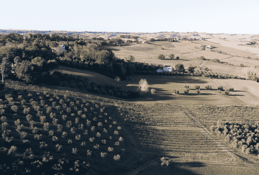 Progetto senza titolo 77